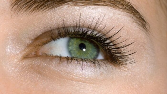 The Psychology and Mystery Behind People with Green Eyes: Why They Captivate Everyone